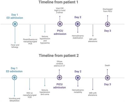 Encephalitis and cytokine storm secondary to respiratory viruses in children: Two case reports